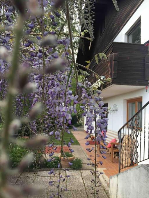Charmantes Landhaus Mit Garten Und Traumhaftem Fernblick Thal  Exteriör bild