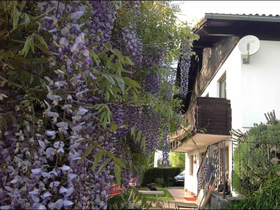 Charmantes Landhaus Mit Garten Und Traumhaftem Fernblick Thal  Exteriör bild